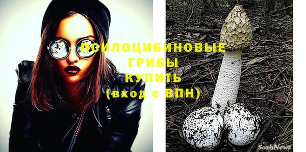 ГАЛЛЮЦИНОГЕННЫЕ ГРИБЫ Балахна