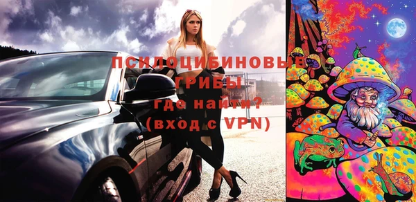 гашик Бородино